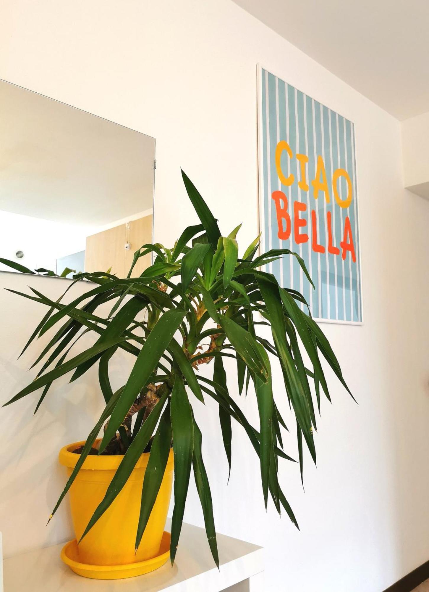 Old Town Apartment With Terrace - Live Love Lake Peschiera del Garda Buitenkant foto